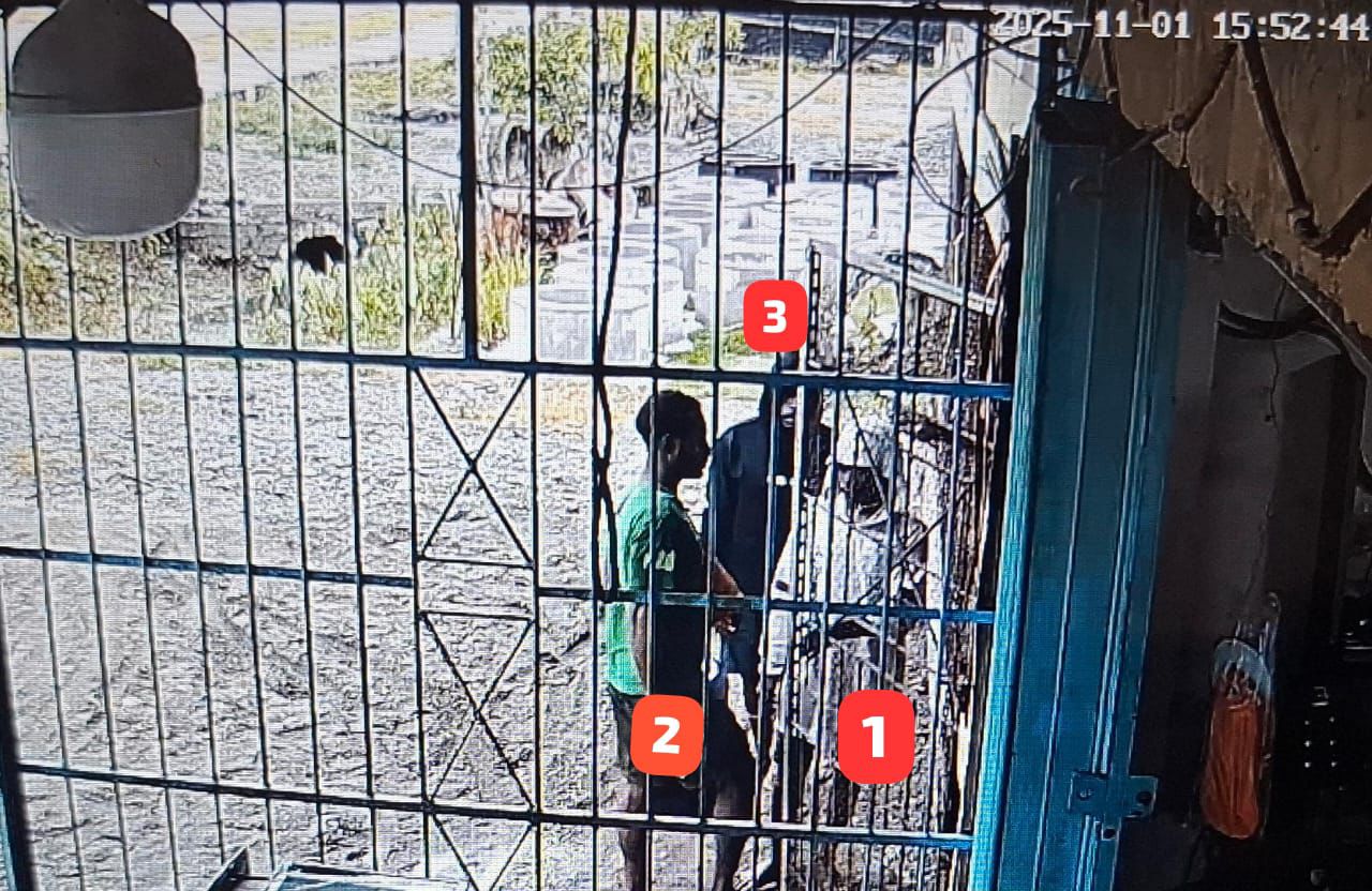 Satgas Ops Damai Cartenz Selidiki Kasus Penikaman Warga Pendatang di Dekai, Yahukimo