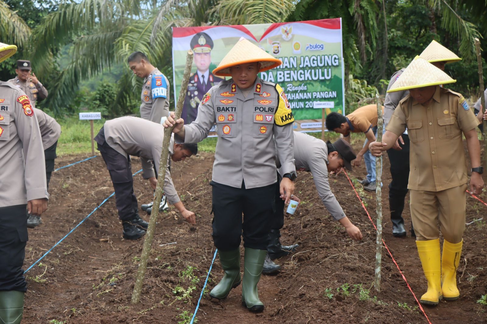 Polres Bengkulu Utara Gencarkan Penanaman Jagung, Dukung Ketahanan Pangan Nasional 2026